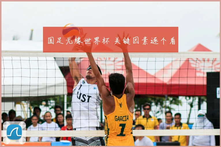 国足无缘世界杯 关键因素逐个看