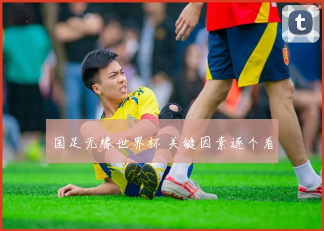 国足无缘世界杯 关键因素逐个看