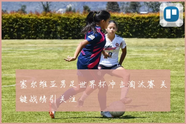 塞尔维亚男足世界杯冲击淘汰赛 关键战绩引关注