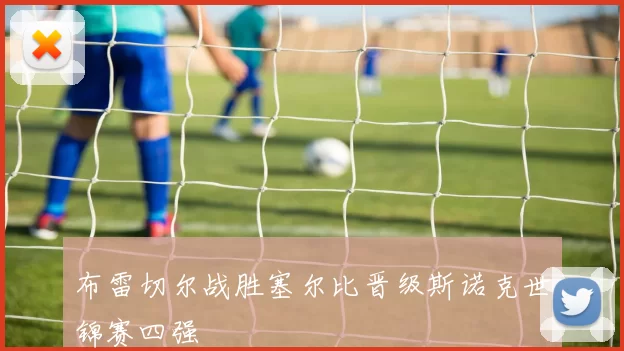 布雷切尔战胜塞尔比晋级斯诺克世锦赛四强